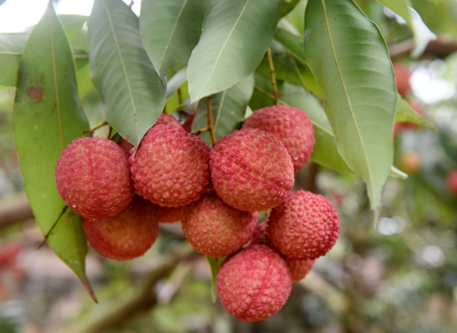 1716538171383771.png 微信截圖_20240524103705.png