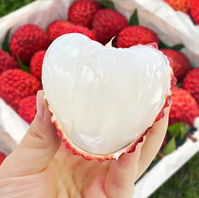 1717481968838587.png 微信截圖_20240531151701.png