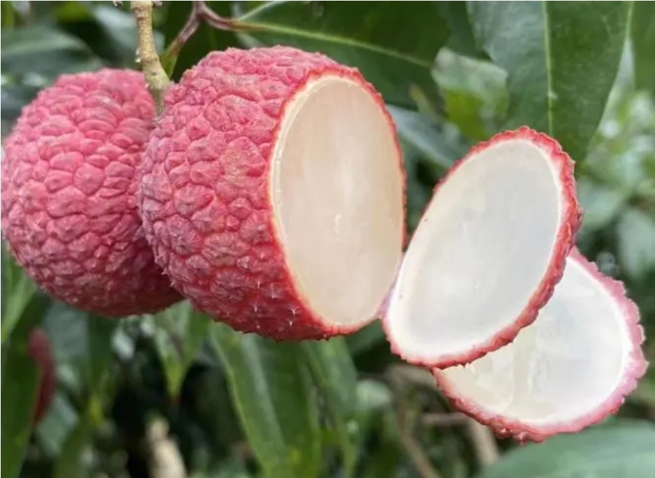 1717656355721027.png 微信截圖_20240606141649.png