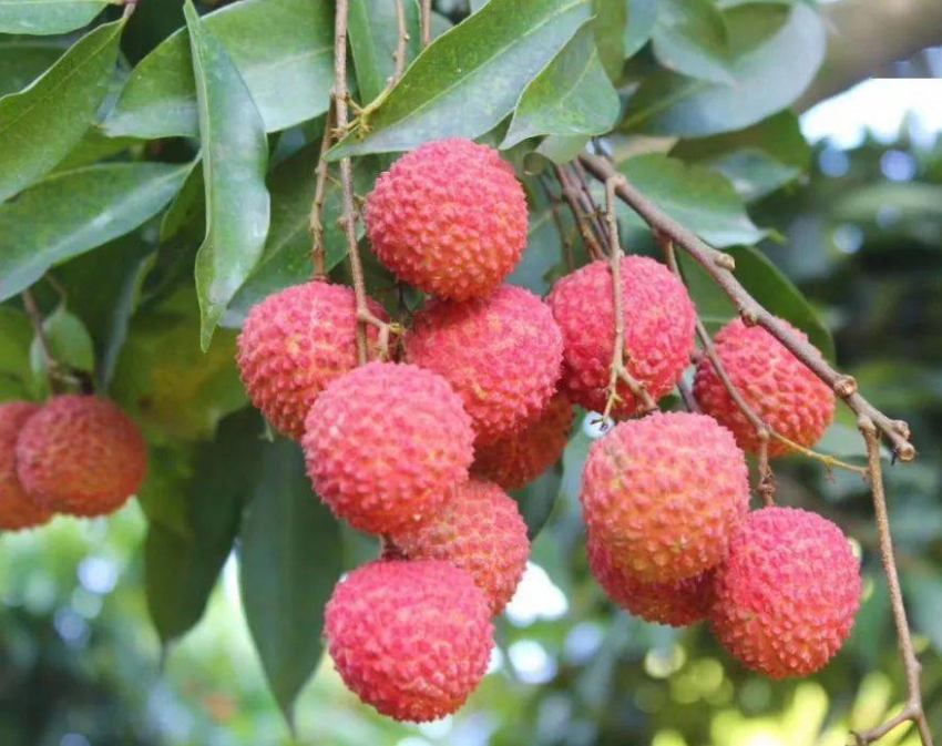 1718180034230207.png 微信截圖_20240612152953.png