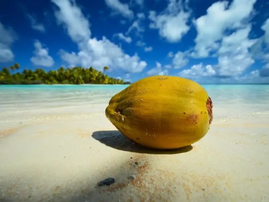 1719302936492664.png 微信截圖_20240624161913.png