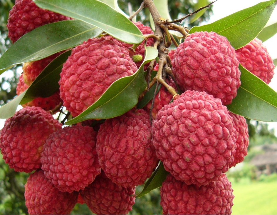 1719388774690509.png 微信截圖_20240624170416.png