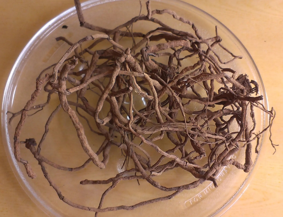 1721034423529729.png 微信截圖_20240712170226.png