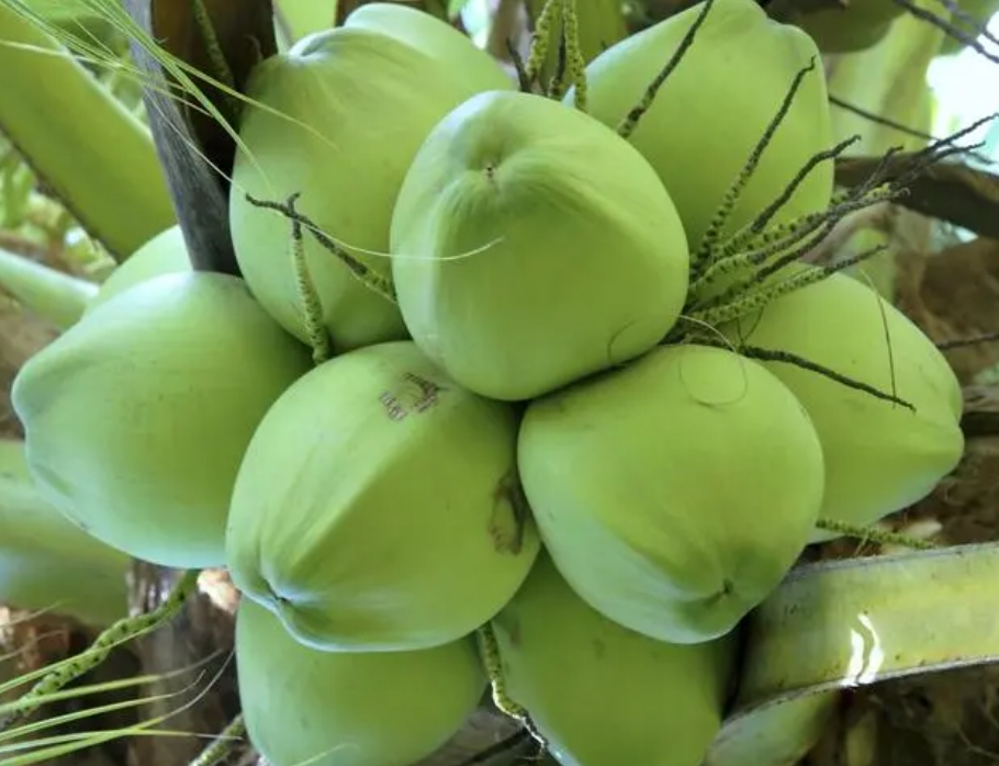 1721959546759439.png 微信截圖_20240725103724.png