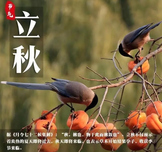 1723015552540237.png 微信截圖_20240806155422.png