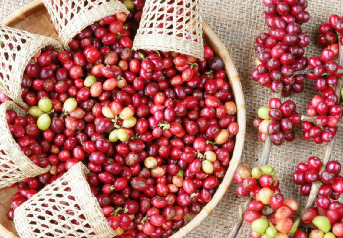 1723621990934463.png 微信截圖_20240813161241.png