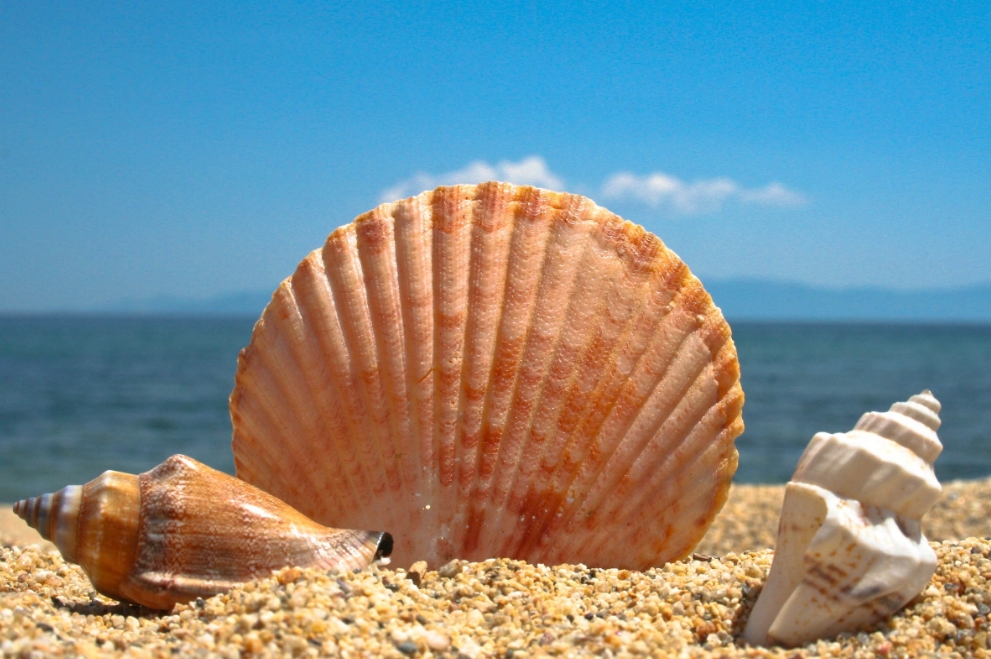 1724919353635662.png 003.png