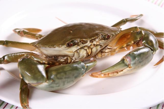 1724919924484801.png 微信截(jié)圖_20240827114030.png