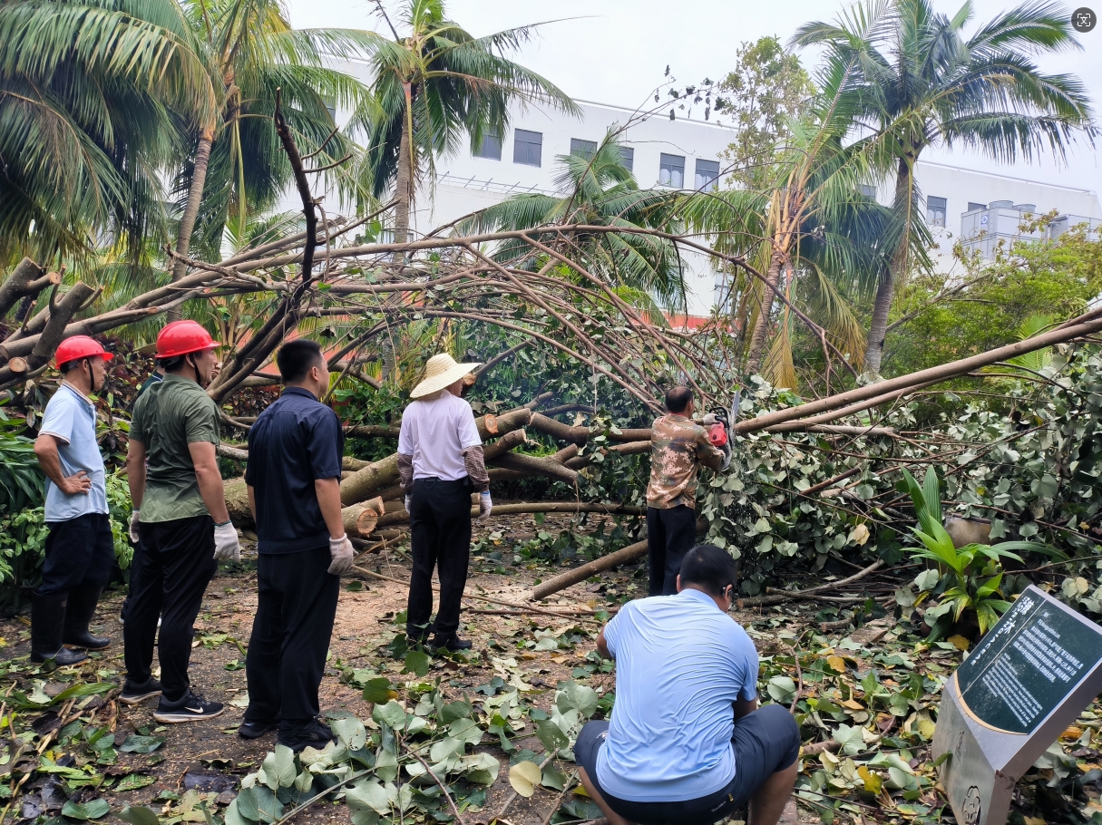 1726035720588690.png 微信截圖_20240911105859.png