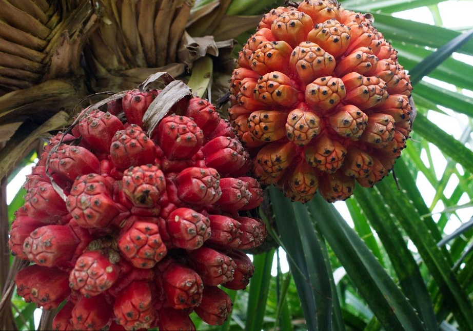 1726731532634234.png 微信(xìn)截圖_20240918152525.png