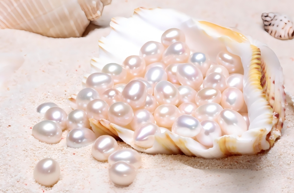 1726731549227891.png 微信(xìn)截圖_20240918152714.png