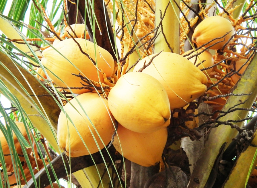 1728456208298092.png 微信截圖_20240930152630.png