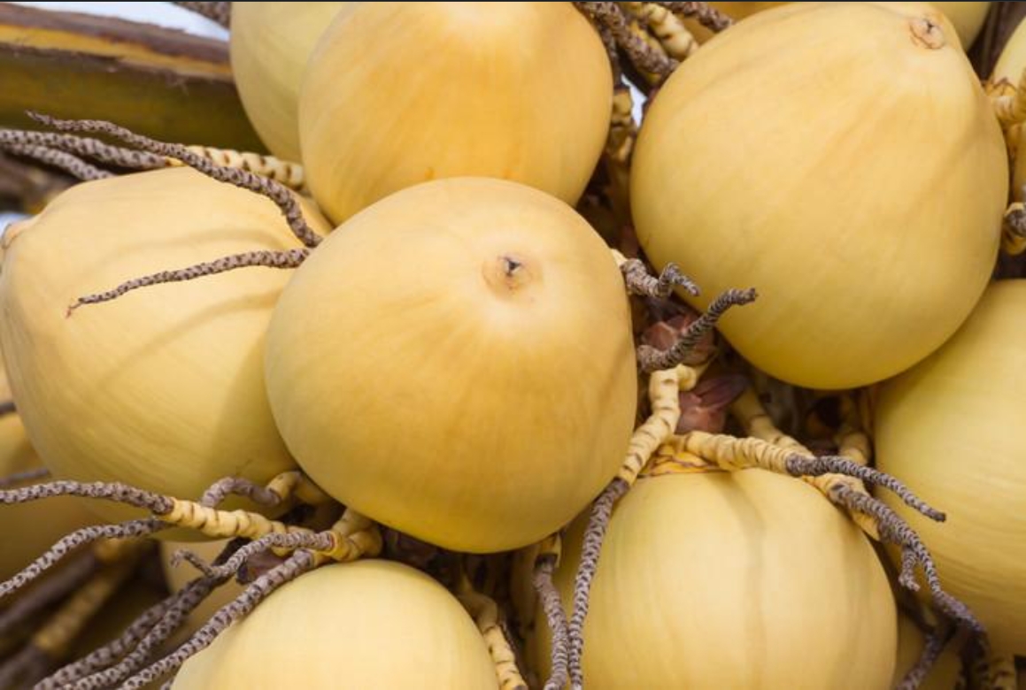 1728456213346534.png 微信截圖_20240930152907.png