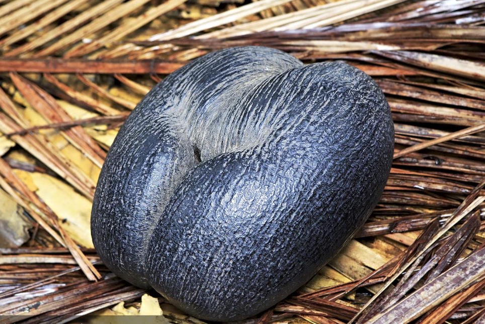 1728974960285728.png 微信截圖_20241015095953.png