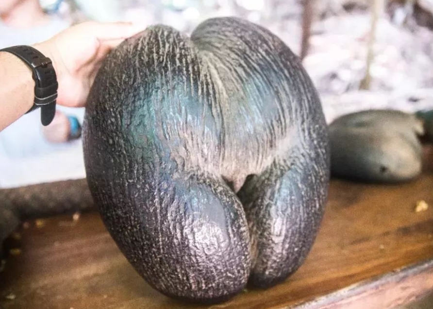 1728974965173412.png 微信截圖_20241015100026.png