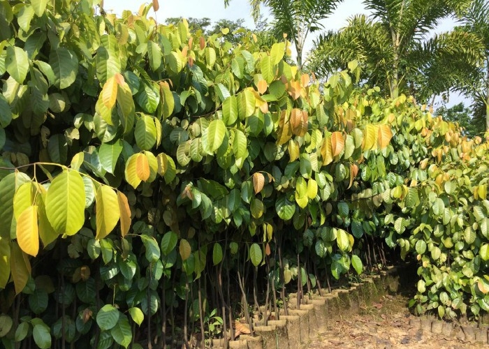 1734330746713846.png 微信截圖_20241213162340.png