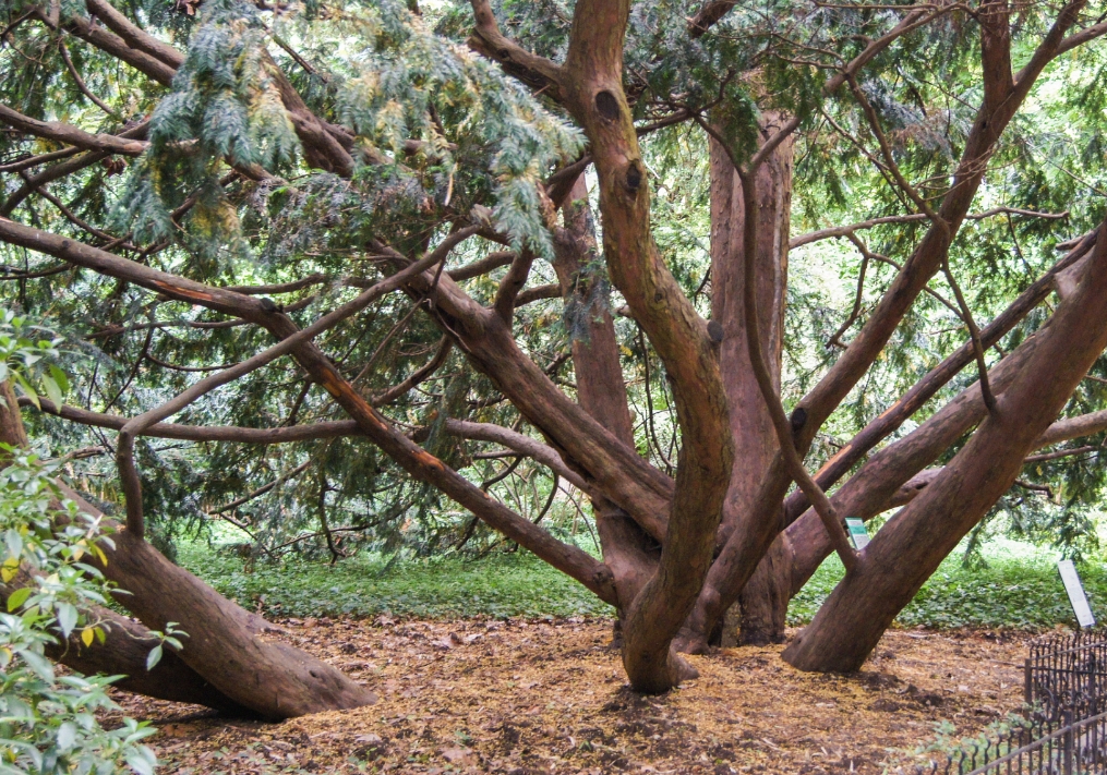 1734330762559926.png 微(wēi)信截圖_20241213162522.png