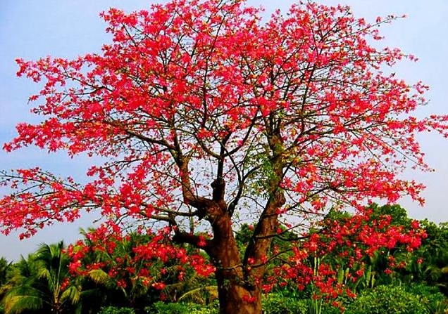 1734504099793092.png 微信截圖_20241218112410.png