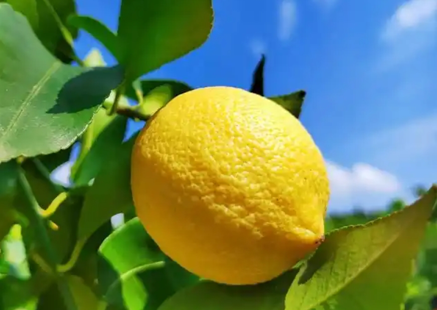 1740125069698999.png 微信截圖_20250221144841.png