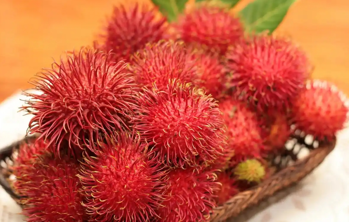 1741068208702417.png 微信截圖_20250304095009.png