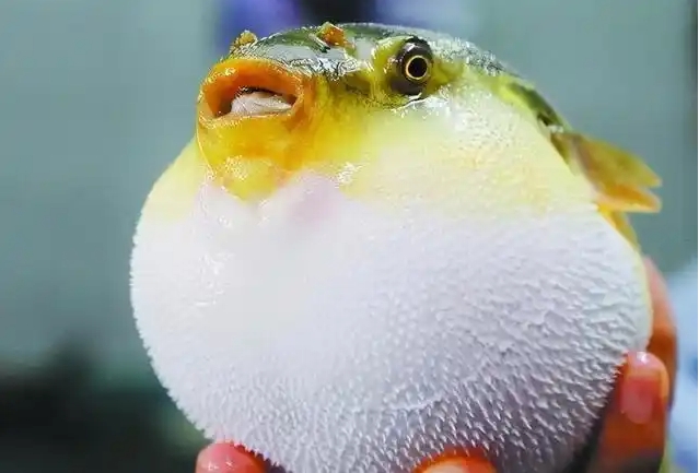 1741159954629832.png 微信(xìn)截圖_20250305142600.png