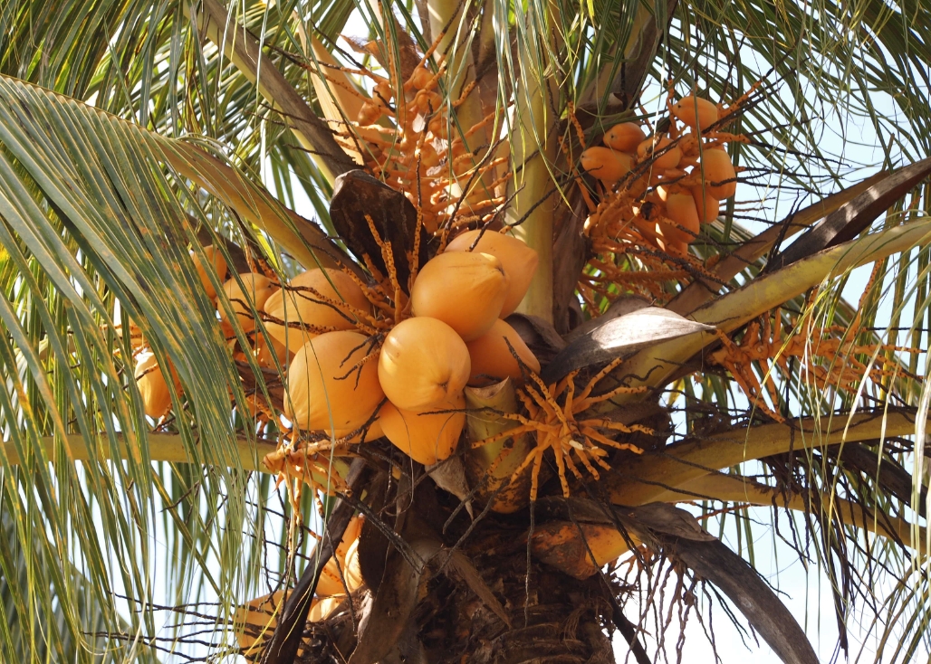 1741592313190879.png 微信截圖_20250310105403.png