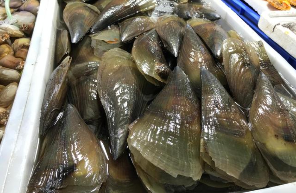 1741594626392506.png 微信截圖_20250310144732.png