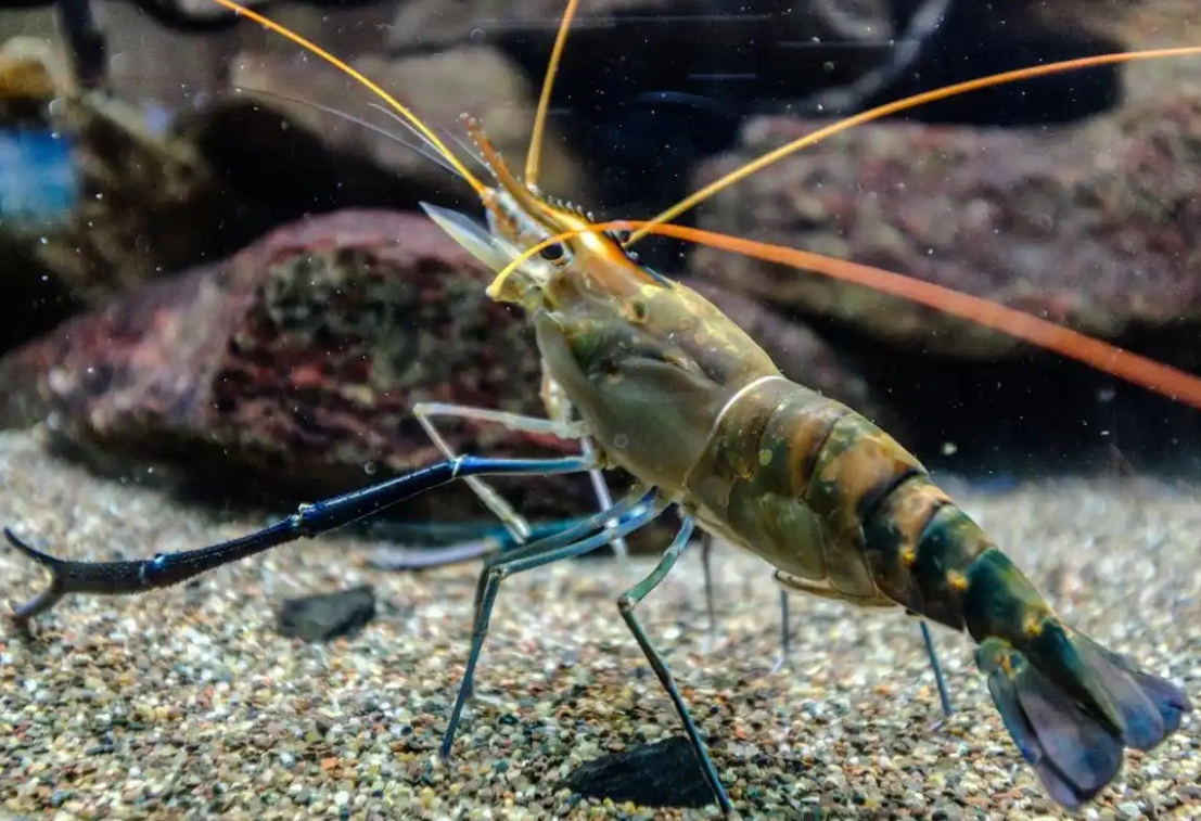 1742200704157177.png 微信截圖_20250317153514.png