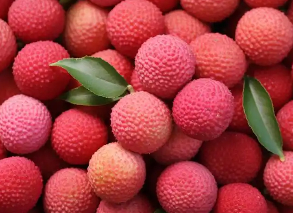 1742974315182069.png 微信截圖_20250326115818.png