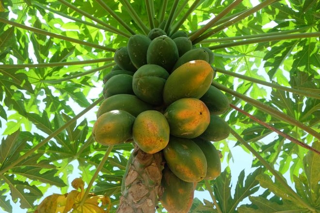 1742975097522308.png 微信截(jié)圖_20250326140338.png