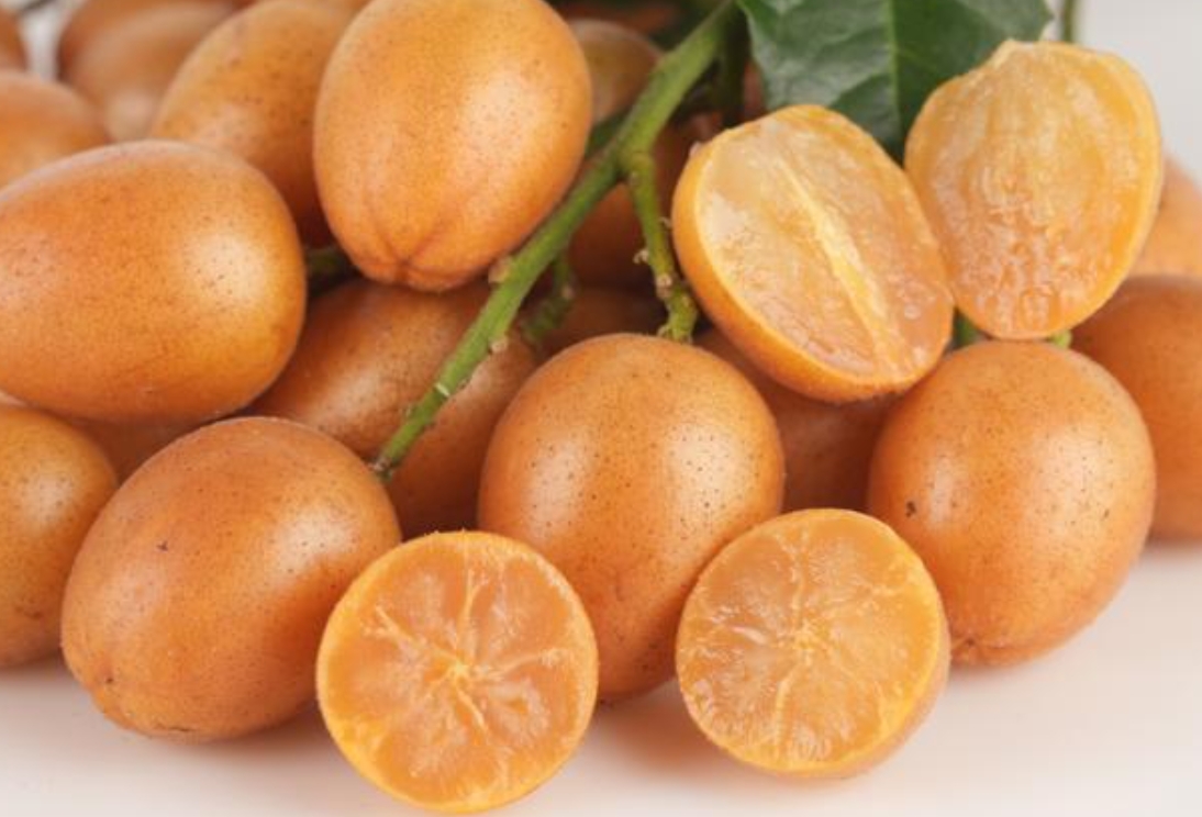 1743151237538833.png 微信截圖_20250328155656.png