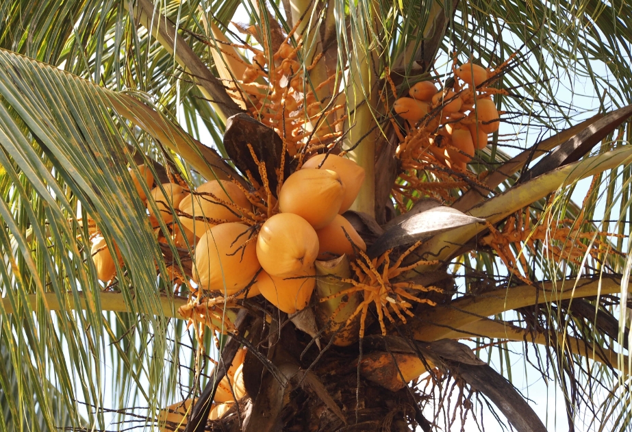 1743490957947207.png 微信截圖_20250401135416.png