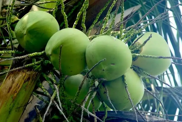 1743490962574888.png 微信截圖_20250401135024.png