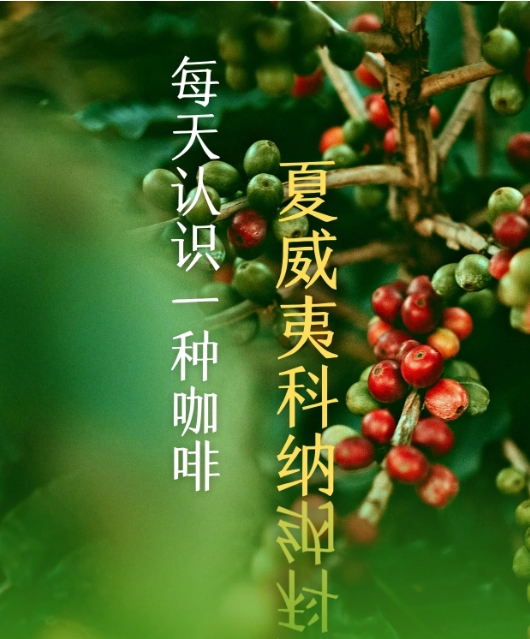 1745740337969981.png 微信截圖_20250427114237.png