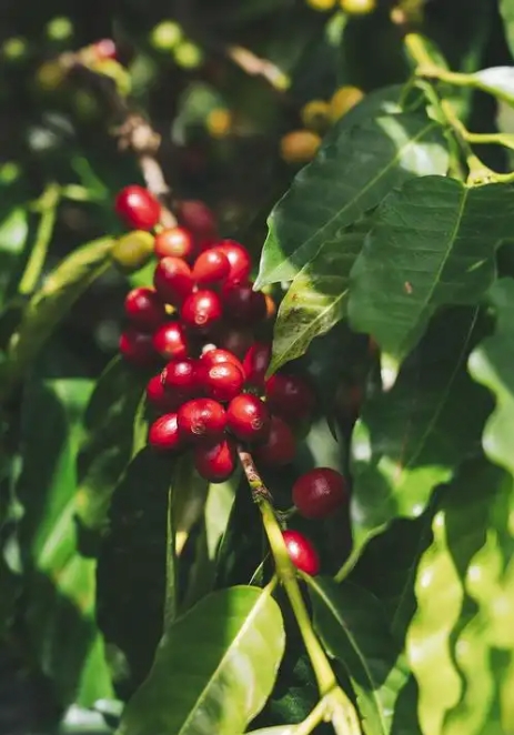 1745740349881721.png 微信(xìn)截圖_20250427114311.png