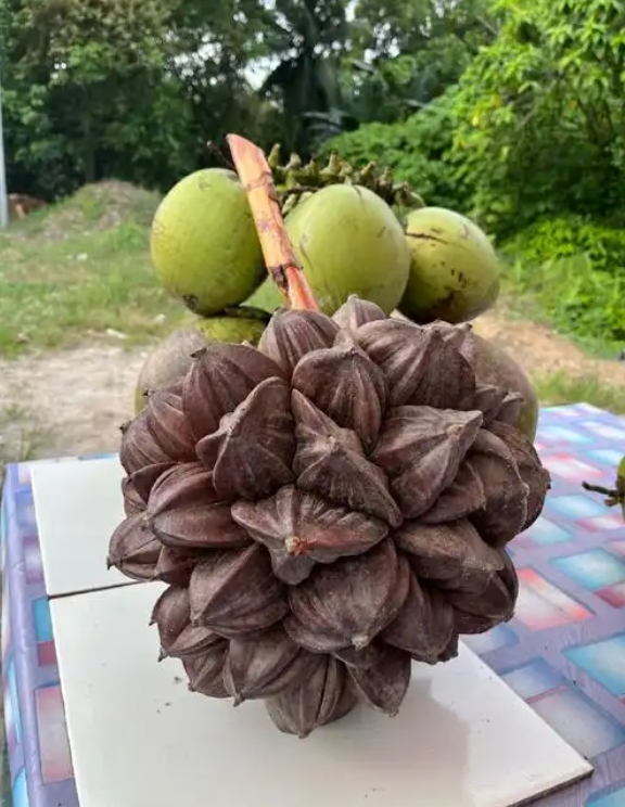 1746777753772302.png 微(wēi)信截圖_20250509144200.png