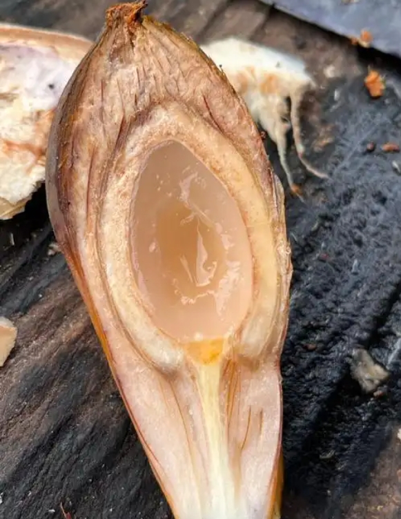 1746777763889571.png 微信截圖(tú)_20250509145259.png