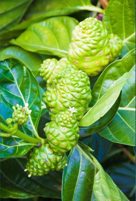 1746847981590463.png 微信(xìn)截圖_20250510104515.png