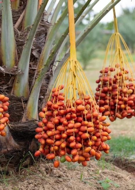 1747383810137505.png 微信(xìn)截圖_20250516145710.png