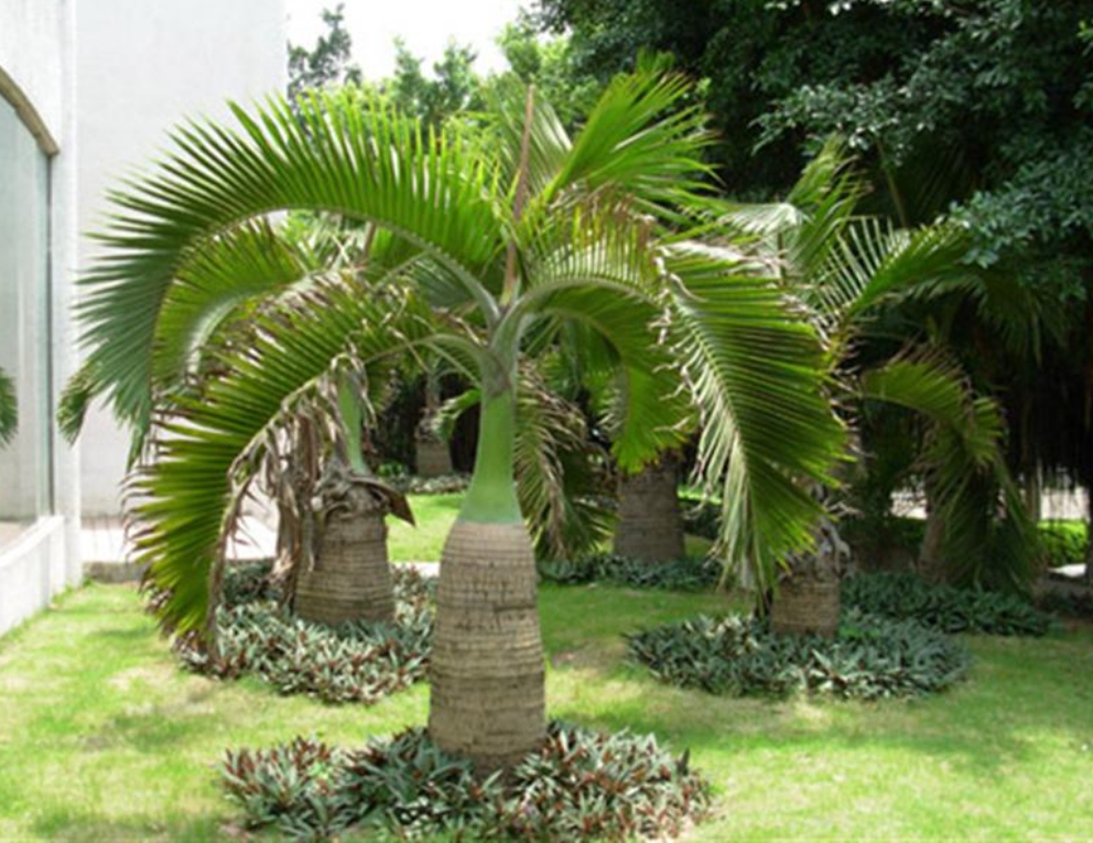 1747642078652507.png 微信截圖_20250519144030.png