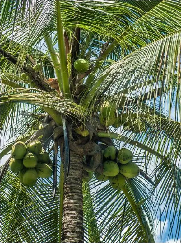 1747731616381826.png 微信截圖_20250520152716.png