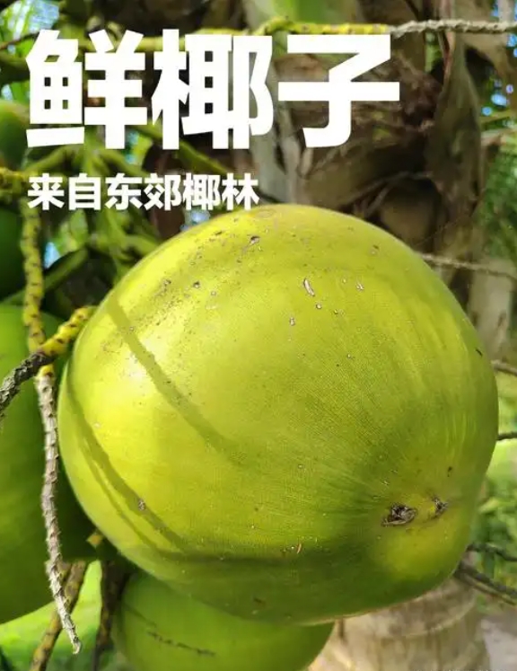 1747902617234629.png 微信截圖(tú)_20250522145105.png