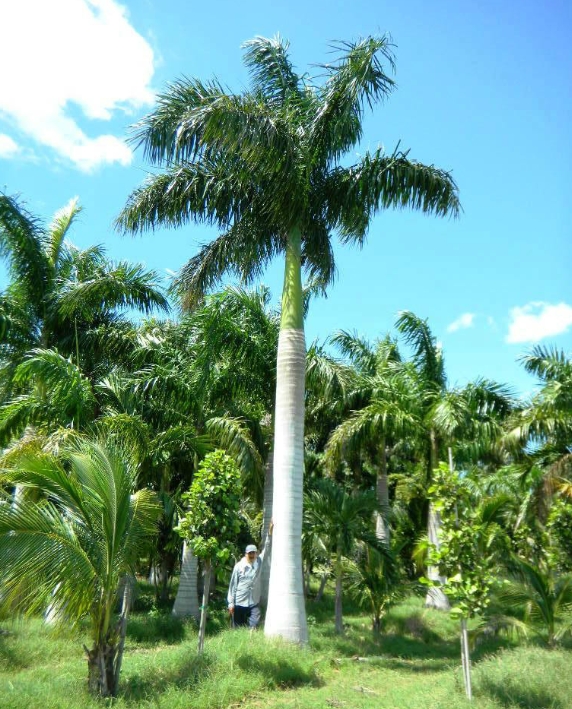 1748243808826634.png 微信截圖_20250526144743.png