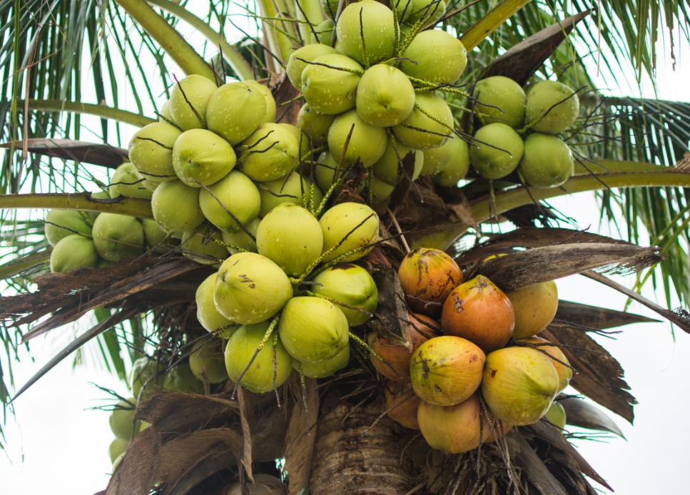 1748416903201038.png 微(wēi)信截圖_20250528112453.png