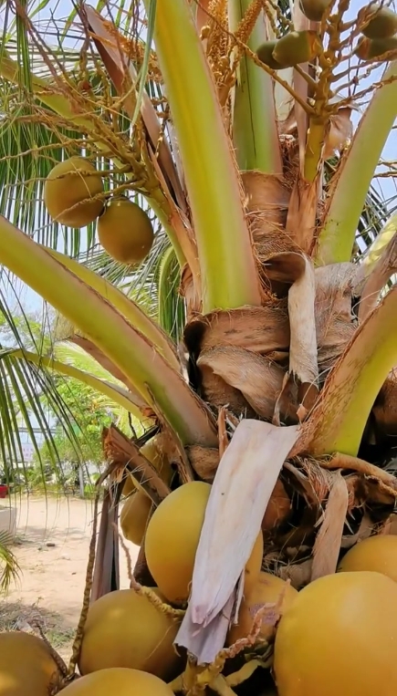 1748416913176192.png 微信截圖_20250528112641.png