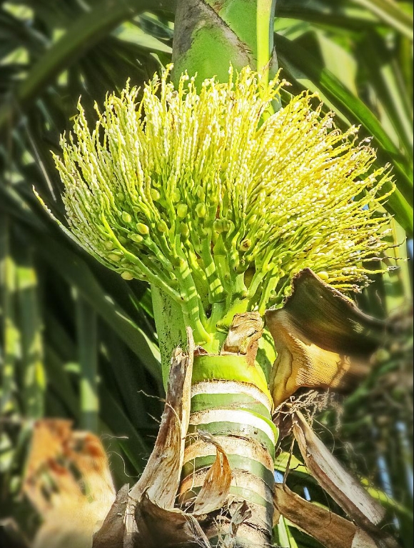 1748590772380924.png 微信截(jié)圖(tú)_20250529152222.png