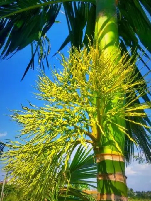 1748590786128263.png 微信截圖_20250529152239.png