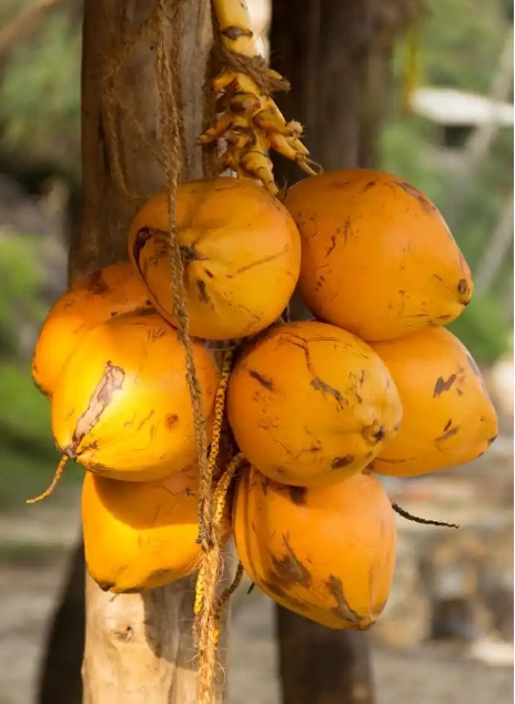 1748939145910702.png 微信截圖_20250603144726.png