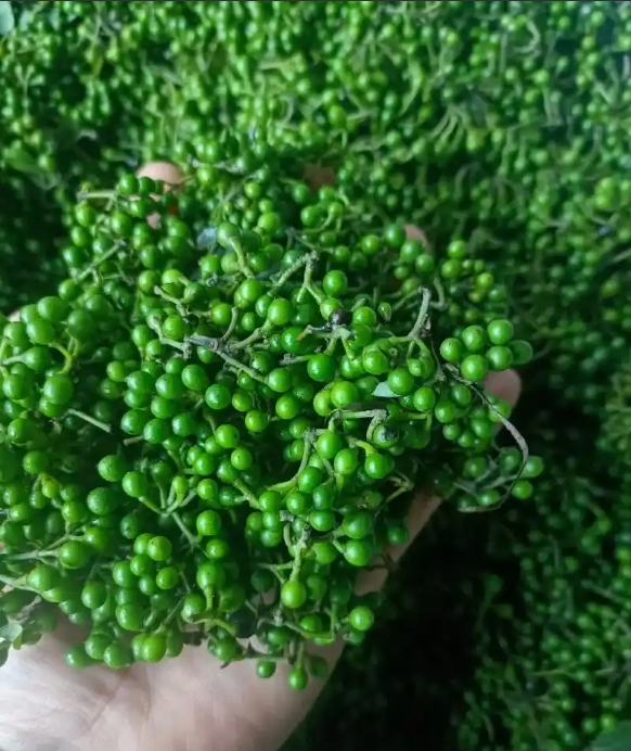 1749459687255994.png 微信截(jié)圖_20250609160540.png