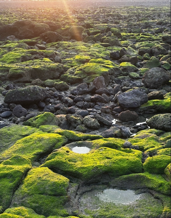 1749632179538703.png 微信截圖_20250611155212.png